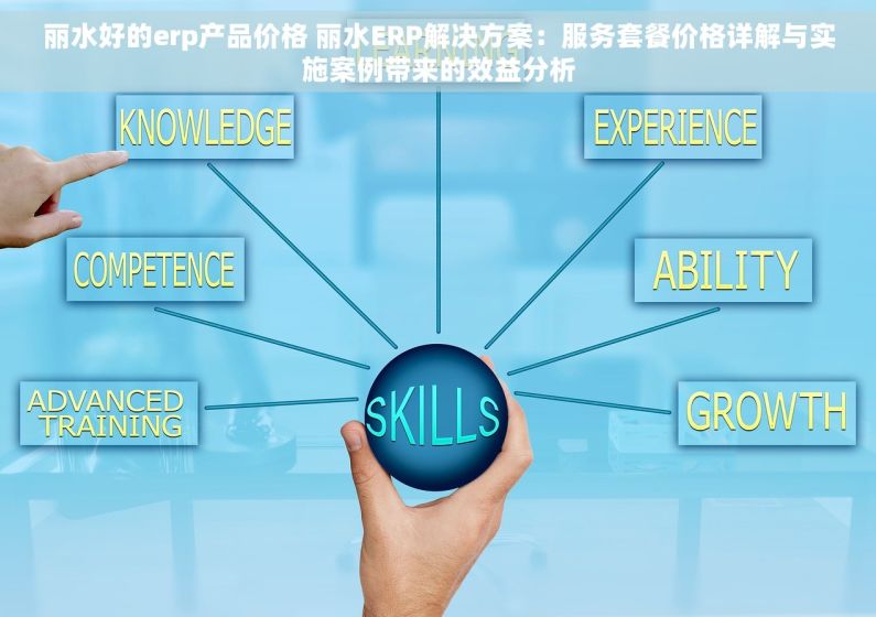 丽水好的erp产品价格 丽水ERP解决方案：服务套餐价格详解与实施案例带来的效益分析