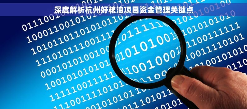 深度解析杭州好粮油项目资金管理关键点