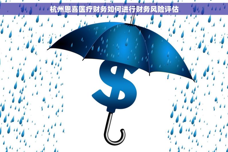 杭州恩喜医疗财务如何进行财务风险评估