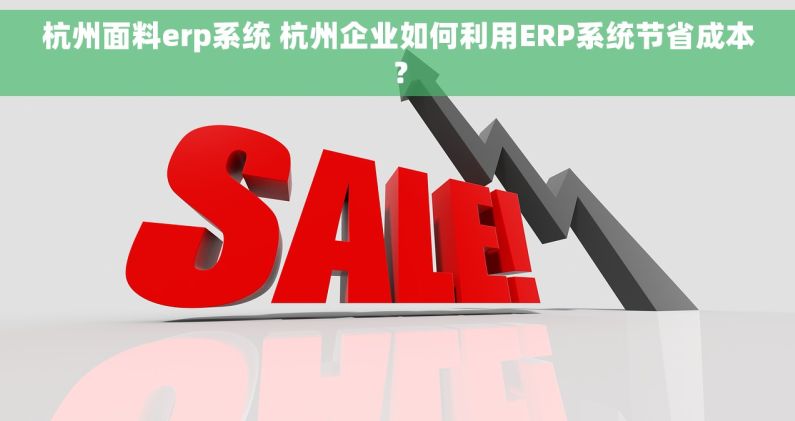 杭州面料erp系统 杭州企业如何利用ERP系统节省成本？