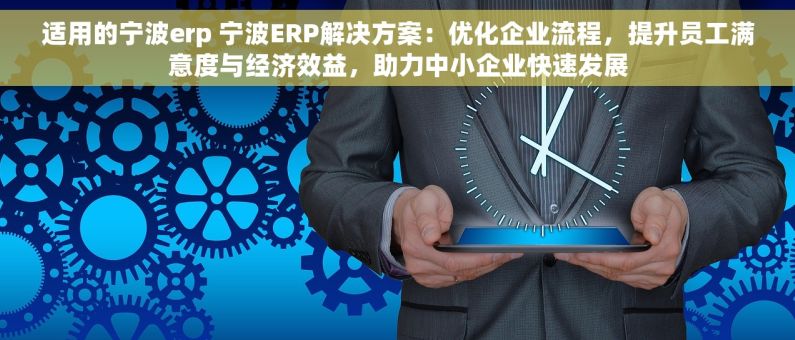 适用的宁波erp 宁波ERP解决方案：优化企业流程，提升员工满意度与经济效益，助力中小企业快速发展
