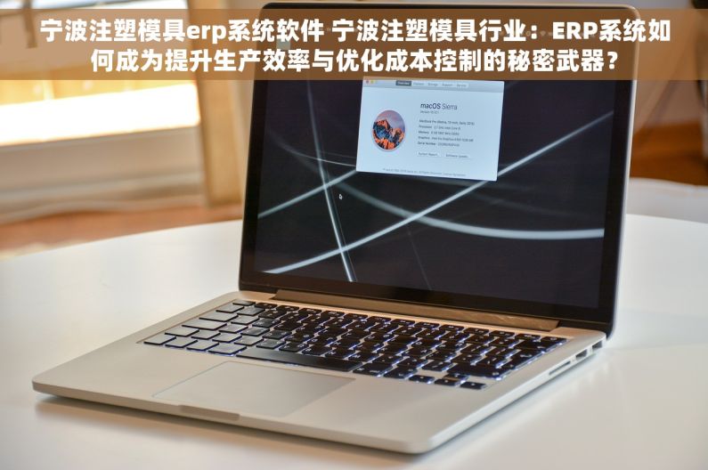 宁波注塑模具erp系统软件 宁波注塑模具行业：ERP系统如何成为提升生产效率与优化成本控制的秘密武器？