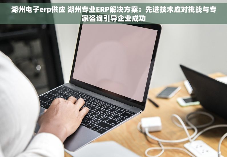 湖州电子erp供应 湖州专业ERP解决方案：先进技术应对挑战与专家咨询引导企业成功