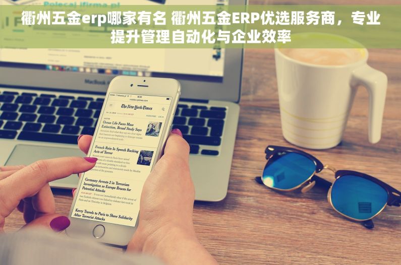 衢州五金erp哪家有名 衢州五金ERP优选服务商，专业提升管理自动化与企业效率