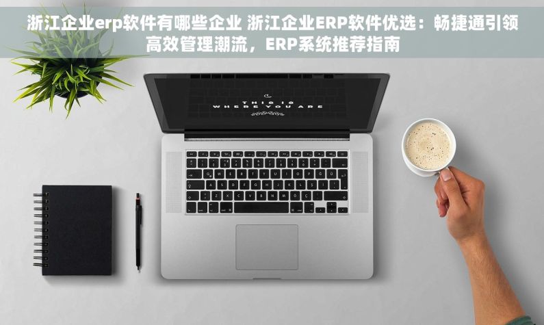 浙江企业erp软件有哪些企业 浙江企业ERP软件优选：畅捷通引领高效管理潮流，ERP系统推荐指南