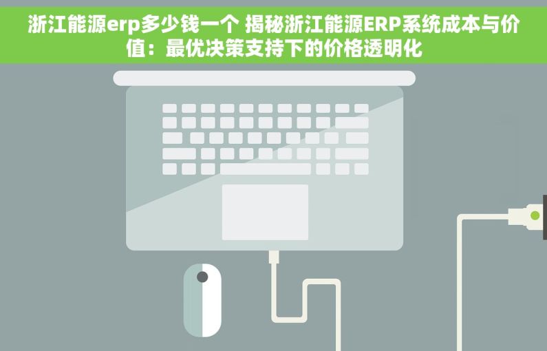 浙江能源erp多少钱一个 揭秘浙江能源ERP系统成本与价值：最优决策支持下的价格透明化