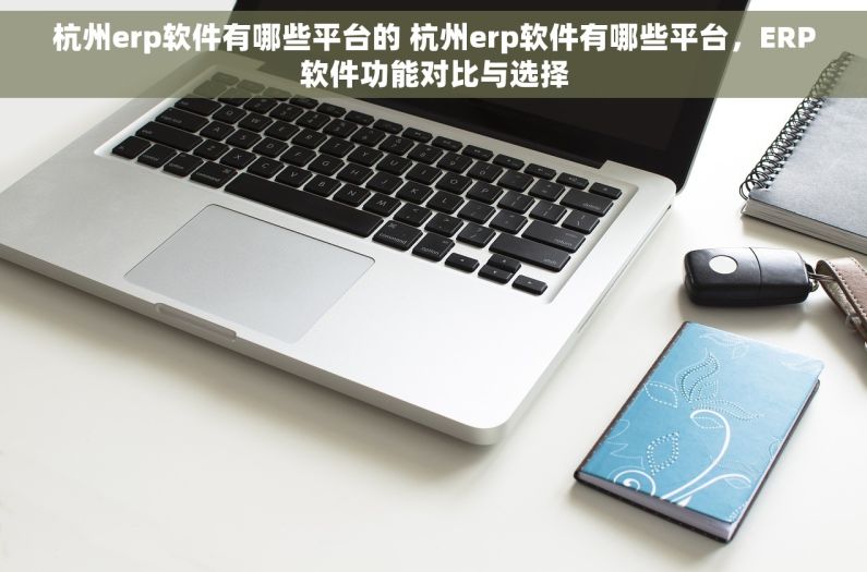 杭州erp软件有哪些平台的 杭州erp软件有哪些平台，ERP软件功能对比与选择