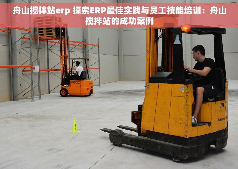 舟山搅拌站erp 探索ERP最佳实践与员工技能培训：舟山搅拌站的成功案例