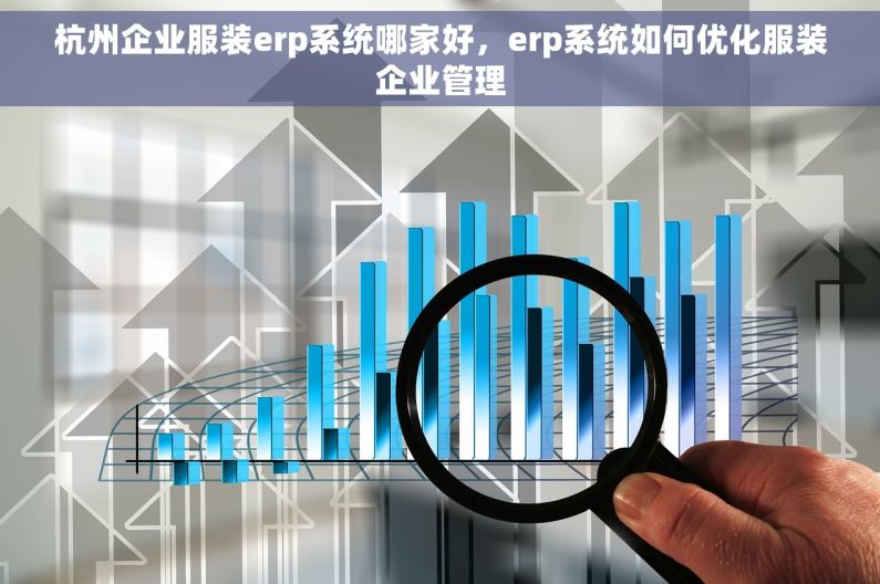 杭州企业服装erp系统哪家好，erp系统如何优化服装企业管理