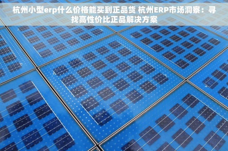 杭州小型erp什么价格能买到正品货 杭州ERP市场洞察：寻找高性价比正品解决方案