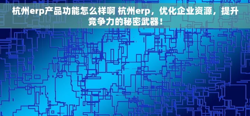 杭州erp产品功能怎么样啊 杭州erp，优化企业资源，提升竞争力的秘密武器！