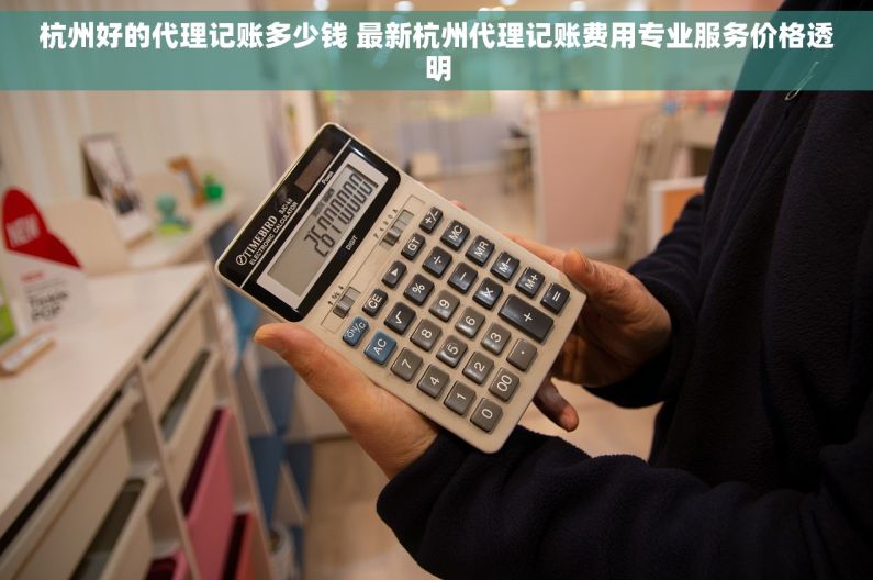 杭州好的代理记账多少钱 最新杭州代理记账费用专业服务价格透明
