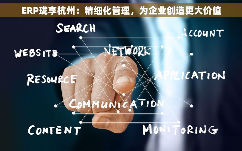 ERP珑享杭州：精细化管理，为企业创造更大价值