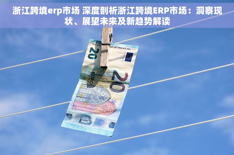浙江跨境erp市场 深度剖析浙江跨境ERP市场：洞察现状、展望未来及新趋势解读
