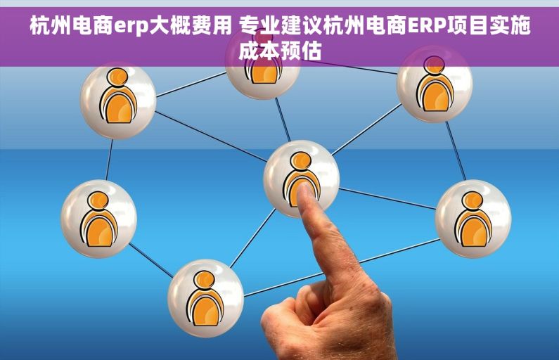 杭州电商erp大概费用 专业建议杭州电商ERP项目实施成本预估