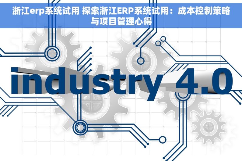 浙江erp系统试用 探索浙江ERP系统试用：成本控制策略与项目管理心得