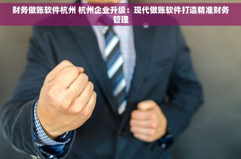 财务做账软件杭州 杭州企业升级：现代做账软件打造精准财务管理