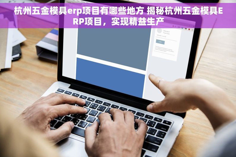 杭州五金模具erp项目有哪些地方 揭秘杭州五金模具ERP项目，实现精益生产