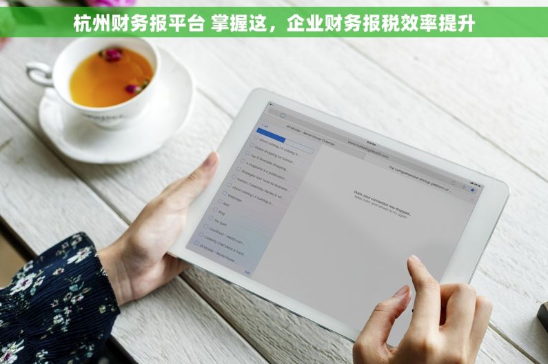 杭州财务报平台 掌握这，企业财务报税效率提升