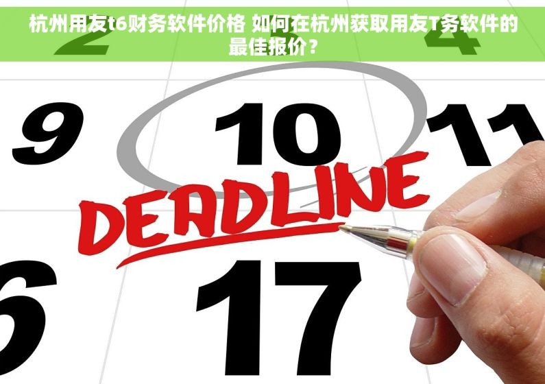 杭州用友t6财务软件价格 如何在杭州获取用友T务软件的最佳报价？