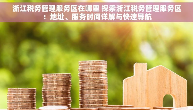 浙江税务管理服务区在哪里 探索浙江税务管理服务区：地址、服务时间详解与快速导航