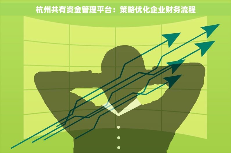杭州共有资金管理平台：策略优化企业财务流程