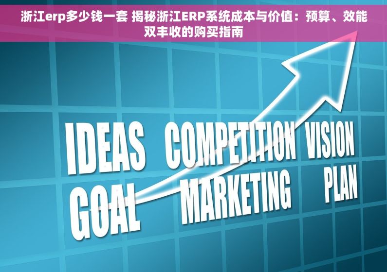 浙江erp多少钱一套 揭秘浙江ERP系统成本与价值：预算、效能双丰收的购买指南
