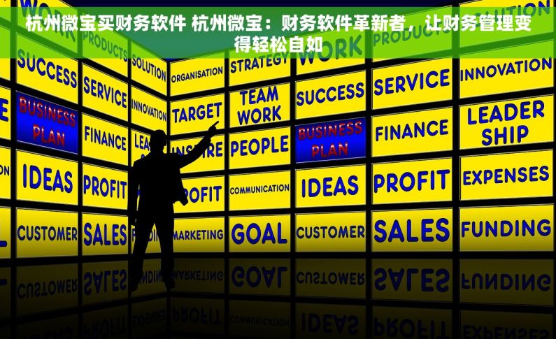杭州微宝买财务软件 杭州微宝：财务软件革新者，让财务管理变得轻松自如