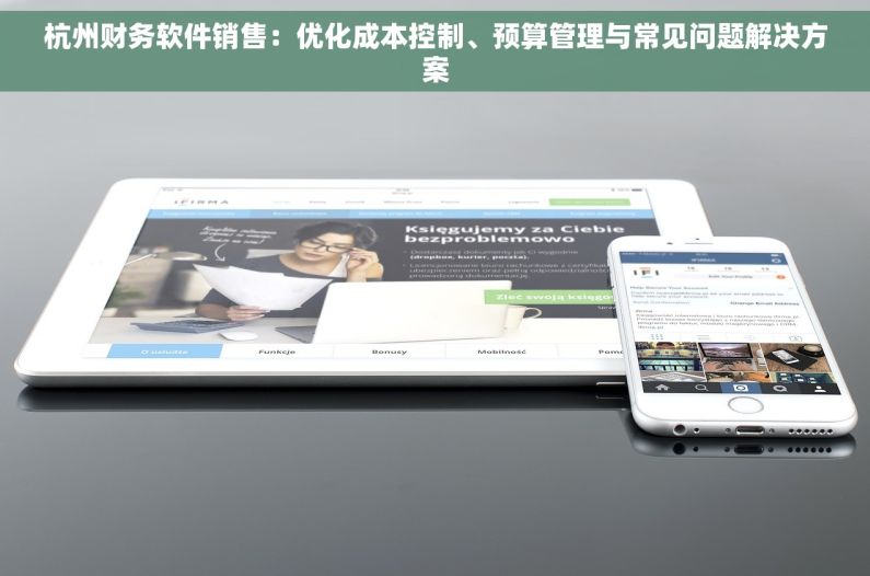 杭州财务软件销售：优化成本控制、预算管理与常见问题解决方案