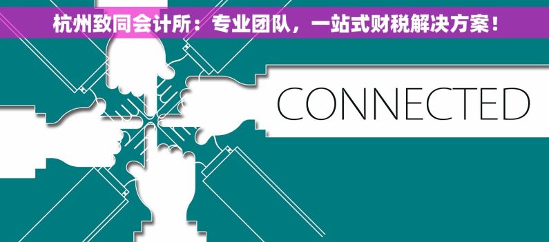 杭州致同会计所：专业团队，一站式财税解决方案！