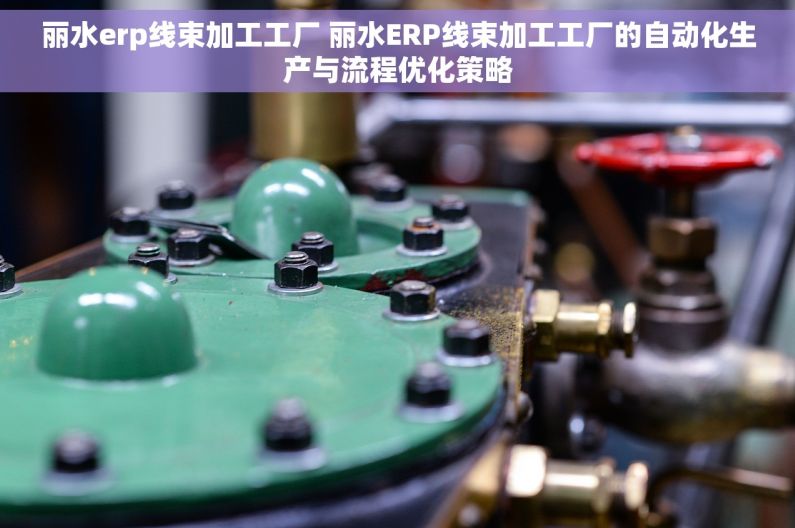 丽水erp线束加工工厂 丽水ERP线束加工工厂的自动化生产与流程优化策略