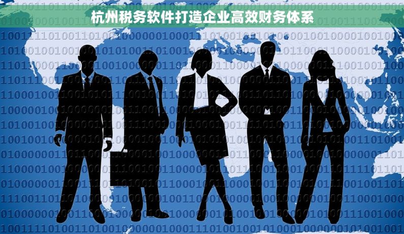 杭州税务软件打造企业高效财务体系