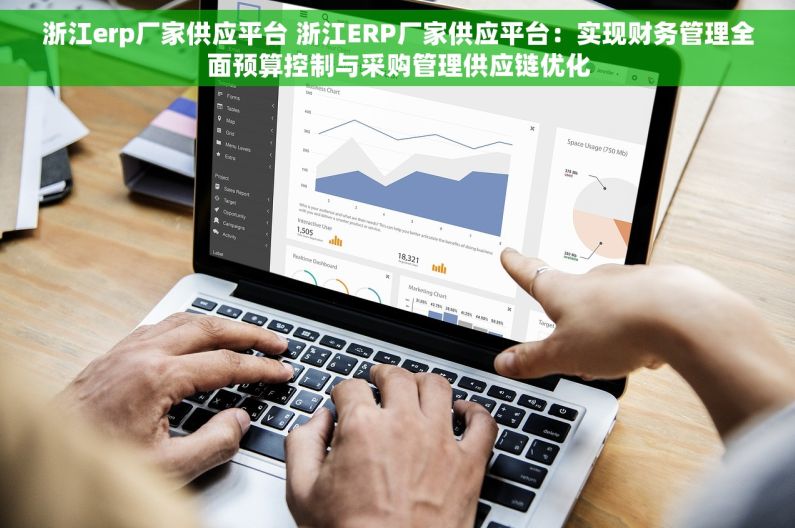 浙江erp厂家供应平台 浙江ERP厂家供应平台：实现财务管理全面预算控制与采购管理供应链优化