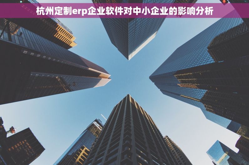 杭州定制erp企业软件对中小企业的影响分析
