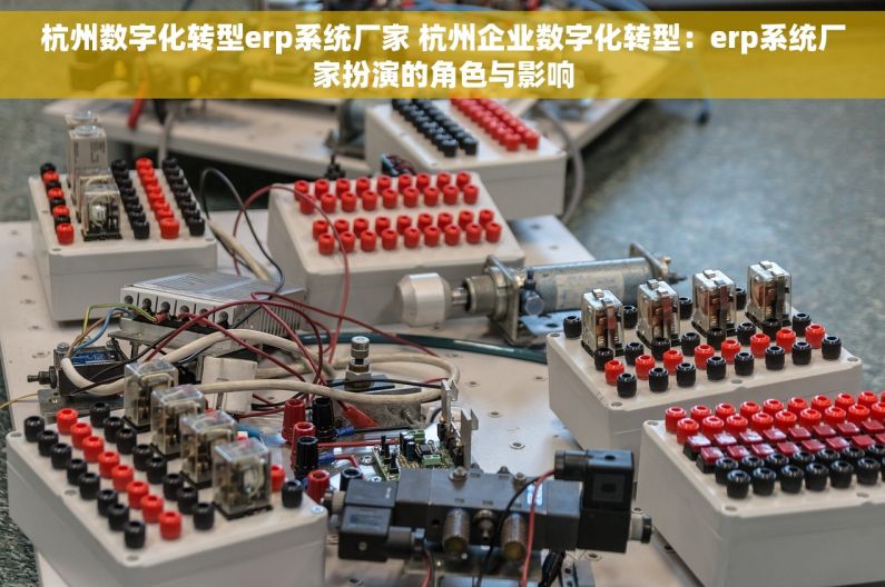 杭州数字化转型erp系统厂家 杭州企业数字化转型：erp系统厂家扮演的角色与影响