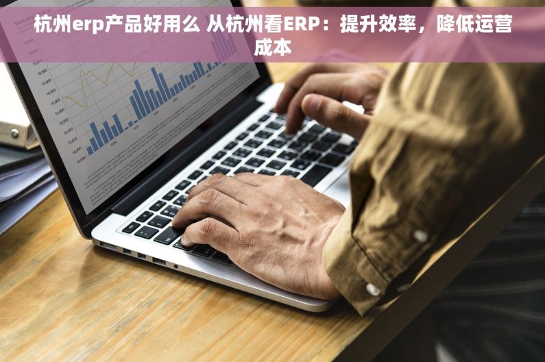 杭州erp产品好用么 从杭州看ERP：提升效率，降低运营成本