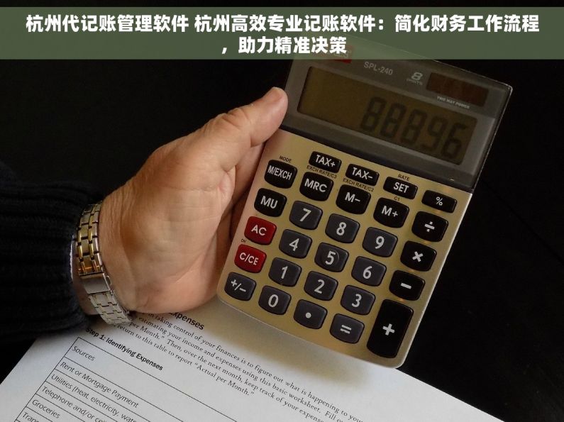杭州代记账管理软件 杭州高效专业记账软件：简化财务工作流程，助力精准决策