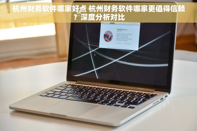 杭州财务软件哪家好点 杭州财务软件哪家更值得信赖？深度分析对比