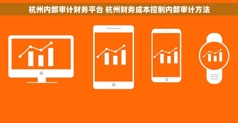 杭州内部审计财务平台 杭州财务成本控制内部审计方法