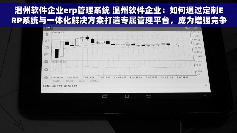 温州软件企业erp管理系统 温州软件企业：如何通过定制ERP系统与一体化解决方案打造专属管理平台，成为增强竞争力的秘密武器