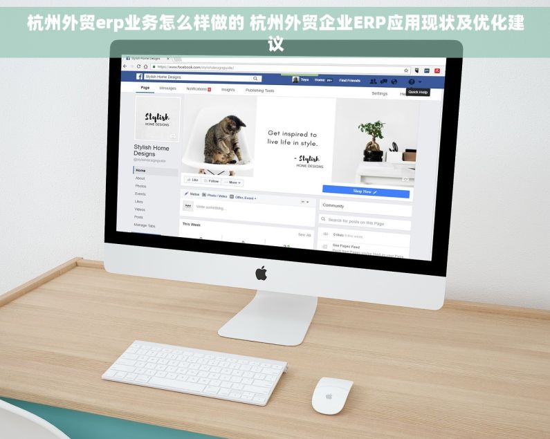 杭州外贸erp业务怎么样做的 杭州外贸企业ERP应用现状及优化建议