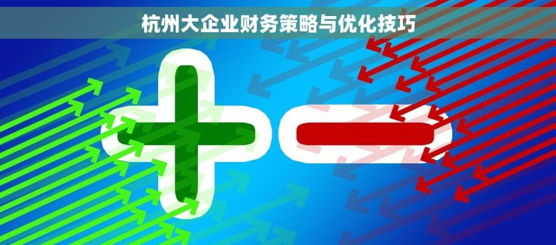 杭州大企业财务策略与优化技巧