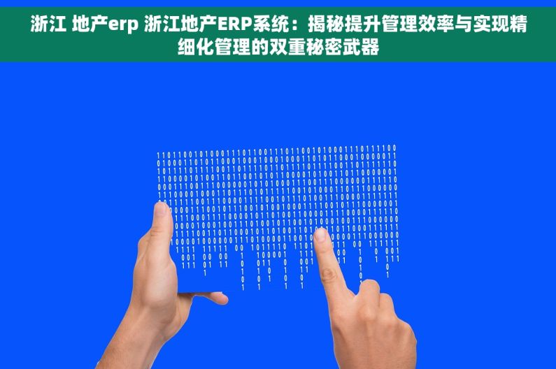 浙江 地产erp 浙江地产ERP系统：揭秘提升管理效率与实现精细化管理的双重秘密武器