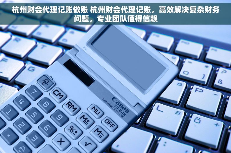 杭州财会代理记账做账 杭州财会代理记账，高效解决复杂财务问题，专业团队值得信赖