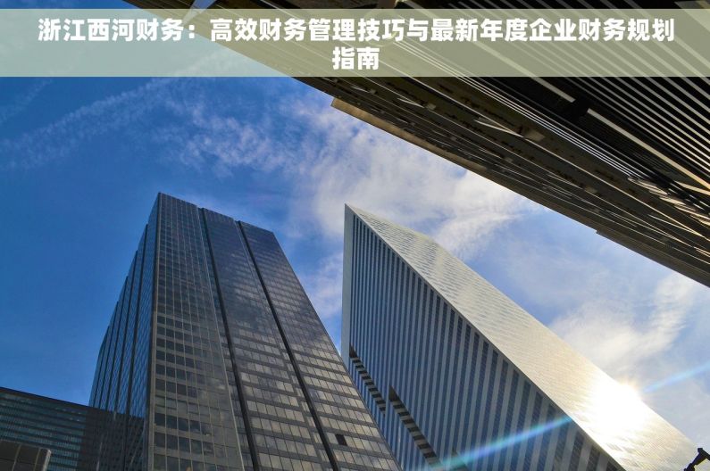 浙江西河财务：高效财务管理技巧与最新年度企业财务规划指南