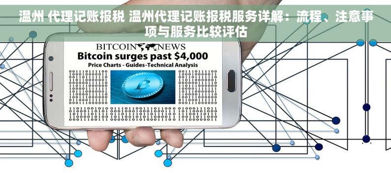 温州 代理记账报税 温州代理记账报税服务详解：流程、注意事项与服务比较评估