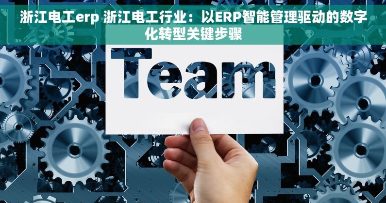 浙江电工erp 浙江电工行业：以ERP智能管理驱动的数字化转型关键步骤