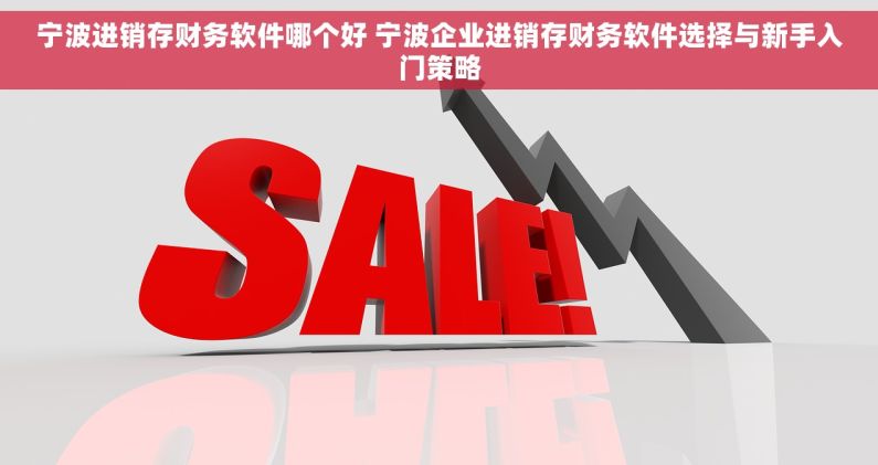 宁波进销存财务软件哪个好 宁波企业进销存财务软件选择与新手入门策略