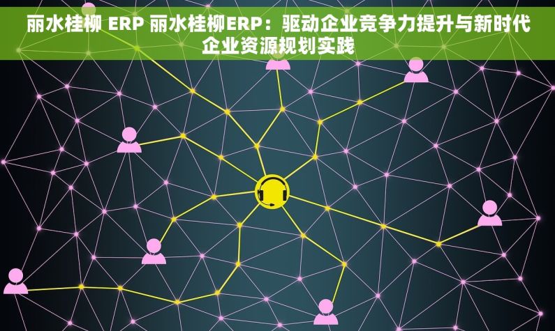 丽水桂柳 ERP 丽水桂柳ERP：驱动企业竞争力提升与新时代企业资源规划实践