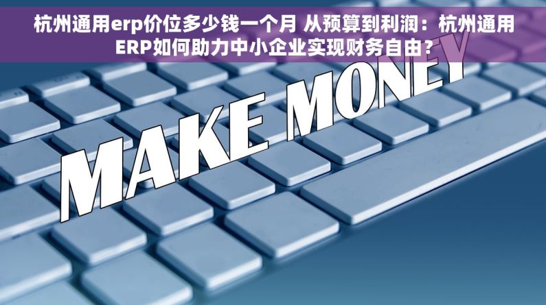 杭州通用erp价位多少钱一个月 从预算到利润：杭州通用ERP如何助力中小企业实现财务自由？